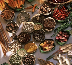 Spices used in Thai, Indian, Indonesian and Malay food, Thailand, Southeast Asia, Asia Spices used in Thai, Indian, Indonesian and Malay food, Thailand, Southeast Asia, Asia