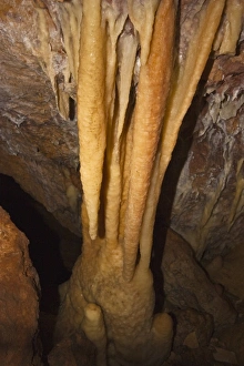 Stalactites creating a column with stalagmite below at Ngilgi Cave, a limestone Karst cave system near Yallingup in Stalactites creating a column with stalagmite below at Ngilgi Cave, a limestone Karst cave system near Yallingup in
