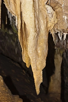Stalactites with drapery and straws at Ngilgi Cave, a limestone Karst cave system near Yallingup in the South West Stalactites with drapery and straws at Ngilgi Cave, a limestone Karst cave system near Yallingup in the South West