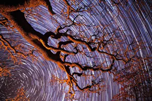 Startrail with tree in silhouette in foreground, Khama Rhino Sanctuary, Botswana, Africa Startrail with tree in silhouette in foreground, Khama Rhino Sanctuary, Botswana, Africa