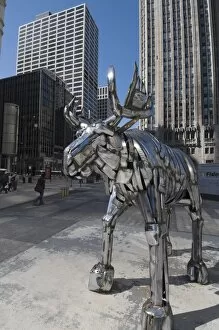 Images Dated 15th April 2008: Statue of Moose, near Tribune Building, Chicago, Illinois, United States of America