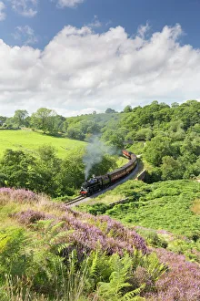 A steam locomotive pulling carriages through Darnholme on the North Yorkshire Steam A steam locomotive pulling carriages through Darnholme on the North Yorkshire Steam