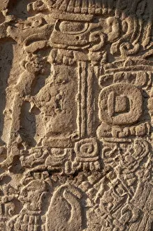 Mayan Gallery: Detail of a Stela, Mayan archaeological site, Tikal, UNESCO World Heritage Site