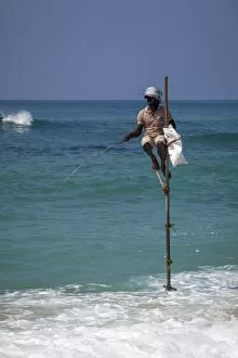 Traditionally Sri Lankan Gallery: Stilt fisherman using traditional fishing techniques on a wooden pole, Weligama, Sri Lanka