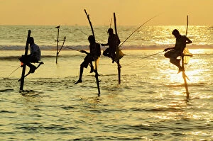 Sri Lanka Gallery: Stilt fishermen, Dalawella, Sri Lanka, Indian Ocean, Asia