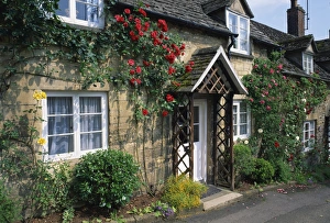 Stone cottages with roses on the walls in the Cotswolds village of Winchcombe Stone cottages with roses on the walls in the Cotswolds village of Winchcombe