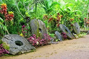 Blooming Gallery: A stone money bank, Yap, Micronesia, Pacific