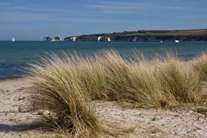 Cliff Gallery: Studland Beach and The Foreland or Hardfast Point, showing Old Harry Rock