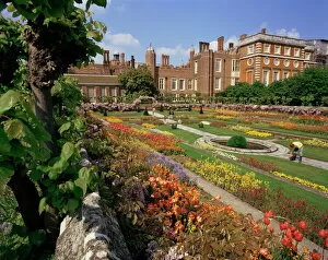 Hampton Court Palace Gallery: Sunken gardens, Hampton Court Palace, Greater London, England, United Kingdom, Europe