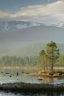 Lakes Gallery: Sunrise over the Cairngorm Mountains and Loch Morlich, Scotland, United Kingdom, Europe