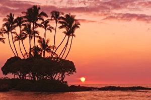 Sunset, Big Island, Hawaii, United States of America, Pacific, North America Sunset, Big Island, Hawaii, United States of America, Pacific, North America
