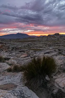 Cederberg Mountains Gallery: Sunset over Cederberg Mountains, Western Cape, South Africa, Africa