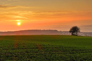 Sunset and field, Rhineland-Palatinate (Rheinland-Pfalz), Germany, Europe Sunset and field, Rhineland-Palatinate (Rheinland-Pfalz), Germany, Europe