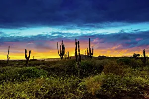 Sunset on Isabella Island, Galapagos Islands, Ecuador, South America Sunset on Isabella Island, Galapagos Islands, Ecuador, South America