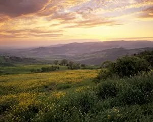 Related Images Gallery: Sunset over Val d Orcia