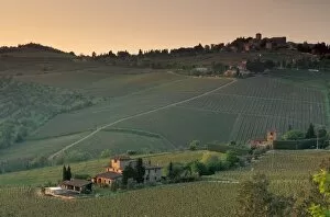 Related Images Gallery: Sunset over vineyards near Panzano in Chianti