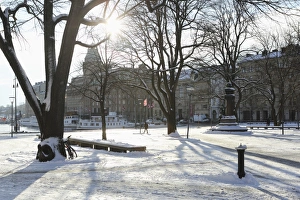 Sunshine in the snow-covered Berzelii Park, by the waterfront at Nybroviken, in Stockholm Sunshine in the snow-covered Berzelii Park, by the waterfront at Nybroviken, in Stockholm