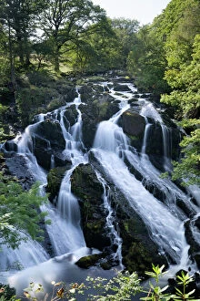 Images Dated 4th September 2014: Swallow Falls, Betws-y-Coed, Snowdonia National Park, Conwy, Wales, United Kingdom