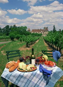 Vine Yard Gallery: Table set with a picnic lunch in a vineyard in Aquitaine, France, Europe