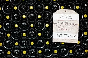 Food And Drink Collection: Taittinger champagne cellar, Reims, Marne, France, Europe