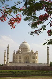 Images Dated 19th April 2011: Taj Mahal, UNESCO World Heritage Site, Agra, Uttar Pradesh, India, Asia