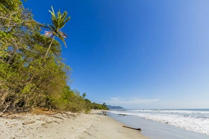 Tall palms and jungle behind the beach at this popular southern Nicoya Peninsula surf Tall palms and jungle behind the beach at this popular southern Nicoya Peninsula surf