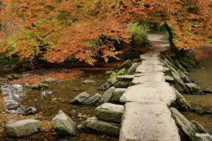 Exmoor Collection: Tarr Steps, a clapper bridge crossing the River Barle on Exmoor, Somerset, England