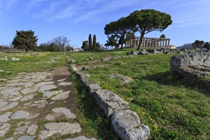 Temple of Athena (Temple of Ceres), Paestum, Greek ruins, UNESCO World Heritage Site Temple of Athena (Temple of Ceres), Paestum, Greek ruins, UNESCO World Heritage Site