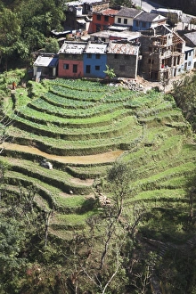 Terraced field infront of The Trisuli Center - whitewater base for Himalayan Encounters Terraced field infront of The Trisuli Center - whitewater base for Himalayan Encounters