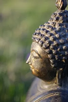 Images Dated 20th June 2008: Thai Buddha, Haute Savoie, France, Europe