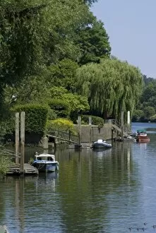 Images Dated 28th June 2010: Thames River view near York House, Richmond, Surrey, England, United Kingdom, Europe