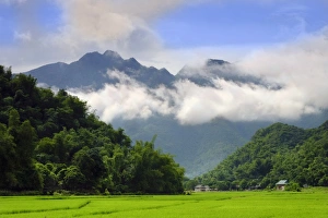 Thatched cottages and rice paddy fields with misty mountains behind, Mai Chau, Vietnam Thatched cottages and rice paddy fields with misty mountains behind, Mai Chau, Vietnam