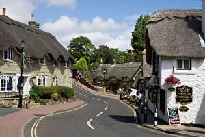 Isle Of Wight Gallery: Thatched houses, teashop and pub, Shanklin, Isle of Wight, England, United Kingdom