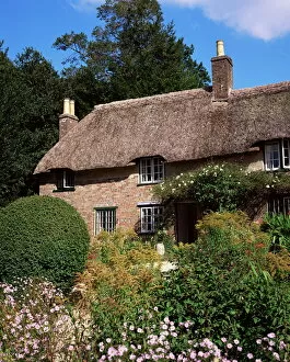Writer Gallery: Thomas Hardys cottage, Bockhampton, near Dorchester, Dorset, England