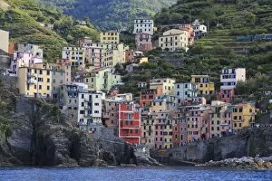 Related Images Collection: Tiny harbour and medieval houses in steep ravine, Riomaggiore, Cinque Terre, UNESCO