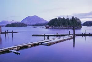Dock Gallery: Tofino, Vancouver Island, British Columbia (B.C.), Canada, North America