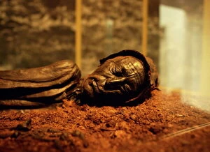 Dead Collection: Tollund man found in a nearby peat bog in the Silkeborg museum in central Jutland