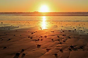 Torrey Pines State Beach, Del Mar, San Diego County, California, United States of America Torrey Pines State Beach, Del Mar, San Diego County, California, United States of America
