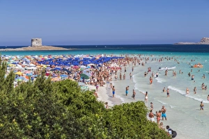 Tourists and beach umbrellas at La Pelosa Beach, Stintino, Asinara National Park Tourists and beach umbrellas at La Pelosa Beach, Stintino, Asinara National Park