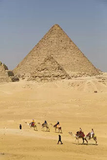 Ancient Egyptian Architecture Gallery: Tourists riding camels, Great Pyramids of Giza, UNESCO World Heritage Site, Giza, Egypt