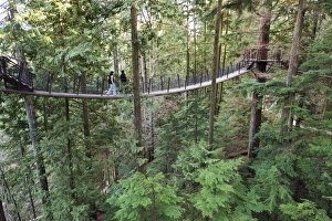 Tourists on a treetop walkway in Capilano Suspension Bridge and Park, Vancouver Tourists on a treetop walkway in Capilano Suspension Bridge and Park, Vancouver