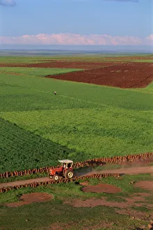 Eurasia Gallery: Tractor and fields near Diyarbakir in Kurdistan