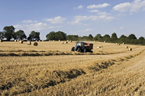 Tractor harvesting near Chipping Campden, along the Cotswolds Way footpath Tractor harvesting near Chipping Campden, along the Cotswolds Way footpath
