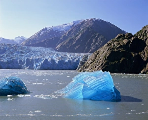 Drifting Gallery: Tracy Arm Glacier