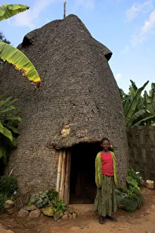 Styles Gallery: Organic Architecture Collection