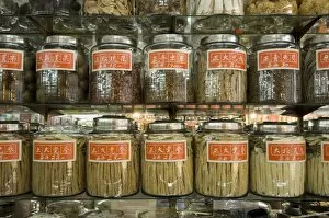 Alternative Medicine Collection: Traditional chinese medicine, Mong Kok district, Kowloon, Hong Kong, China, Asia