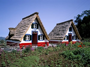 Village Prints: Traditional Houses Print - Santana, Madeira, Portugal