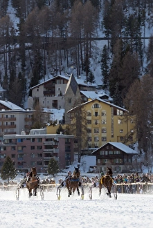 Trap event, White Turf International Horse Race, winter, St. Moritz, Engadine, Graubunden Trap event, White Turf International Horse Race, winter, St. Moritz, Engadine, Graubunden
