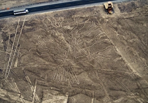 The Tree Geoglyph, aerial view, Nazca, UNESCO World Heritage Site, Ica Region, Peru The Tree Geoglyph, aerial view, Nazca, UNESCO World Heritage Site, Ica Region, Peru