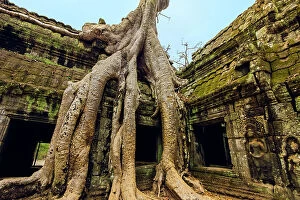 Cambodian Culture Collection: Tree roots on a gallery in 12th century Khmer temple Ta Prohm, a Tomb Raider film